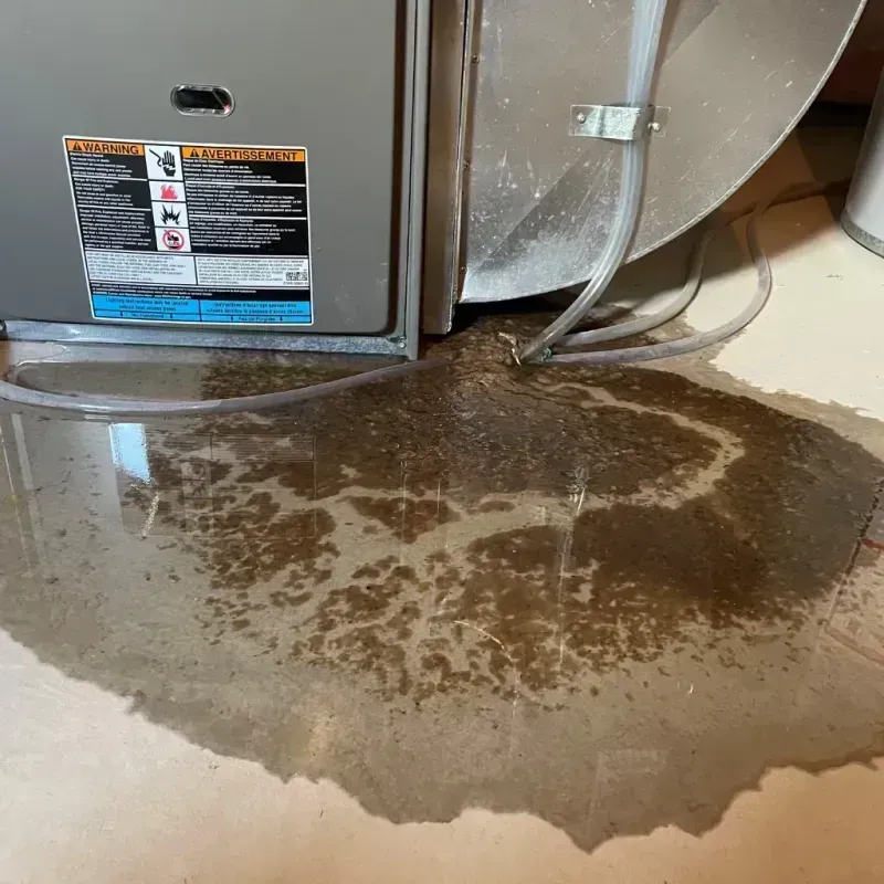 Appliance Leak Cleanup in Acton, CA